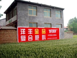 德阳如何让墙体广告展现最大化效果