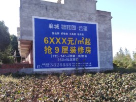 德阳品牌公司青睐的墙体广告