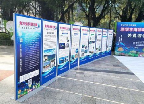 德阳KT板的种类和知识。